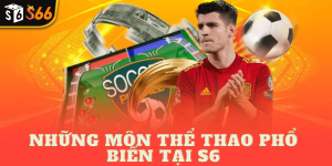 Những môn thể thao phổ biến tại s6