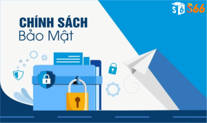 Chi tiết chính sách bảo mật