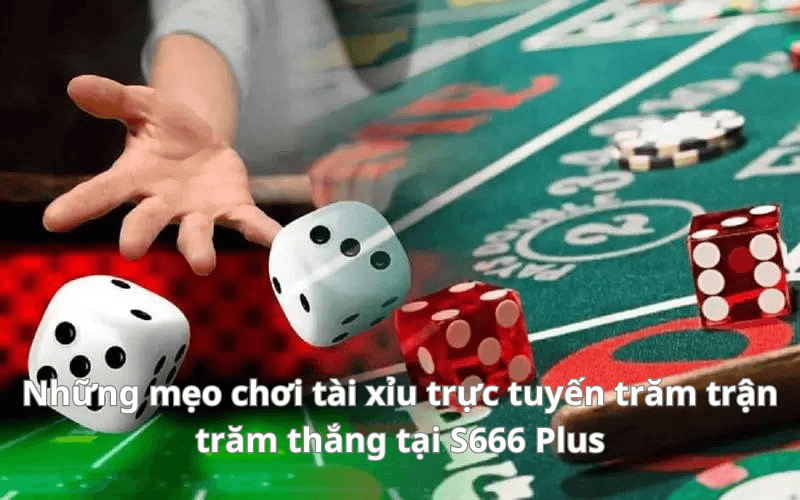 Những mẹo chơi tài xỉu trực tuyến trăm trận trăm thắng tại S666 Plus