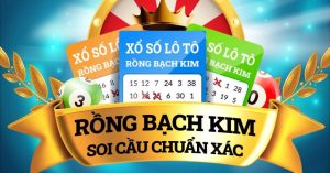 Phân Tích Dữ Liệu Soi Cầu 666 Rồng Bạch Kim