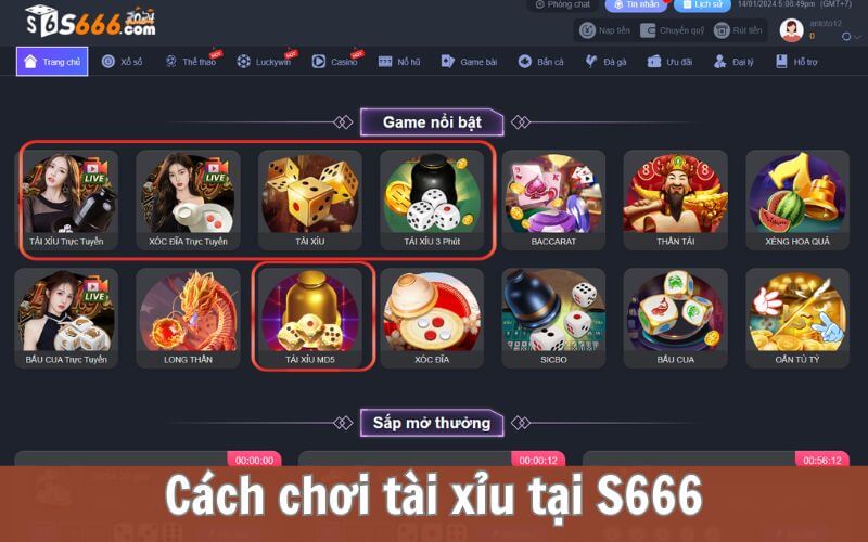 Bí Kíp Chơi S666 Tài Xỉu like Hiệu Quả, Tăng Tỷ Lệ Thắng Lớn