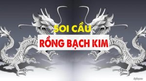 Lưu Ý Khi Áp Dụng Soi Cầu 666 Rồng Bạch Kim