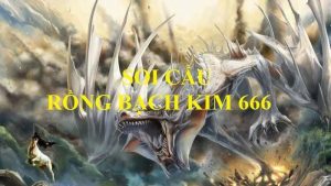 Kỹ Thuật Soi Cầu Rồng Bạch Kim 666 Hiệu Quả