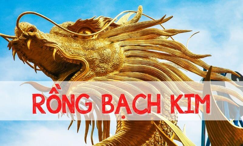 Lưu Ý Khi Áp Dụng Soi Cầu Rồng Bạch Kim 666