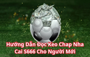 Hướng Dẫn Đọc Keo Chap Nha Cai S66658 Cho Người Mới