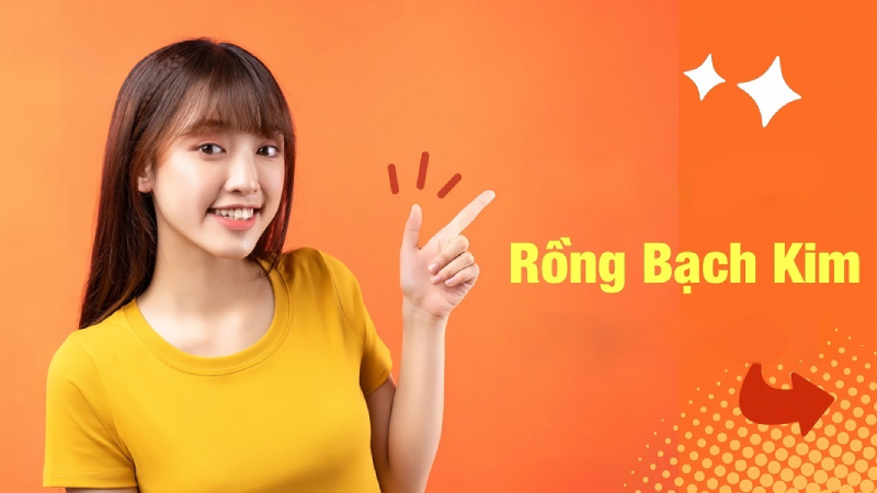 Các Bí Quyết Soi Cầu Hiệu Quả Từ Rồng Bạch Kim Plus