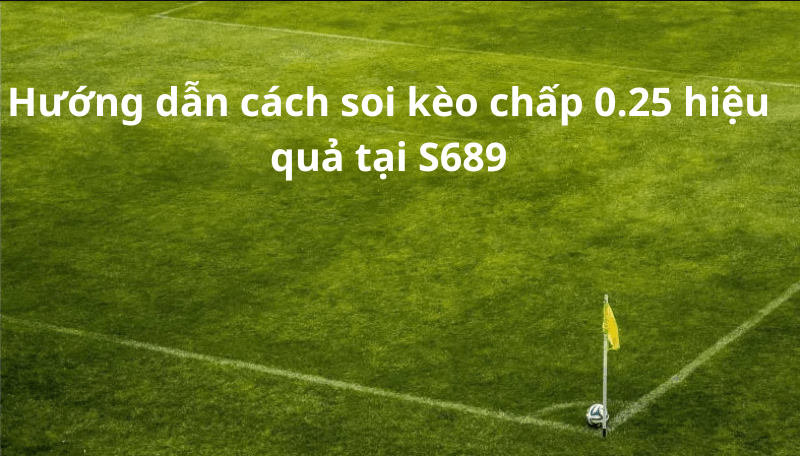 Hướng dẫn cách soi kèo chấp 0.25 hiệu quả tại S689